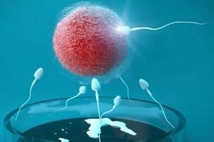 你知道三代试管婴儿对女性激素水平有要求吗？