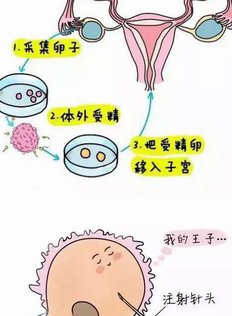 福州做试管专业的医院排名，福州试管哪里做能完全好？