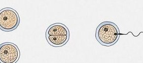 2026开封三代试管费用是多少？这些影响费用的因素你得知道