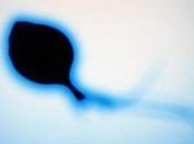 山东省青岛市助孕公司大全，附助孕机构排名一览