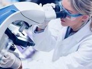 陕西双角子宫试管医院名单整理，双角子宫做试管大概多少钱？