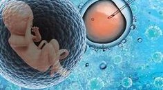 试管移植后打喷嚏会咳出胚胎？1次性打破常见误区，真相大曝光