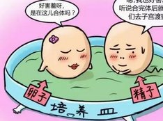 许昌市精子存储医院医院名单，选取精子做试管婴儿的流程以及费用