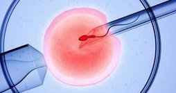 盘锦三大助孕服务机构有哪些？盘锦三代试管助孕公司或机构