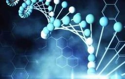 浙江三代试管有私立医院吗(浙江试管婴儿技术怎么样)