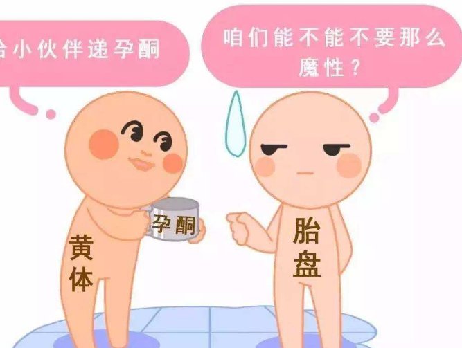 2026年泰国没有精子三代试管婴儿全流程详解，从签证准备到妊娠确定