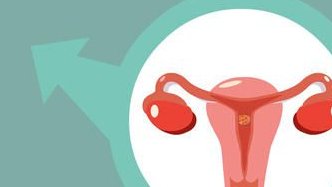 石家庄三代试管婴儿，成功的生育之旅，从专业医院开始