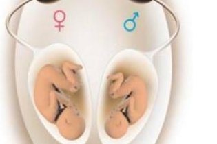 2026年未婚去东莞市松山湖中心医院做三代试管的成功率有多高？