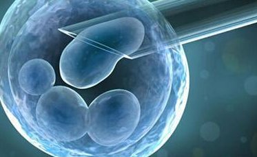 辽宁2026试管医院名单整理，附其他试管怀孕医院排名